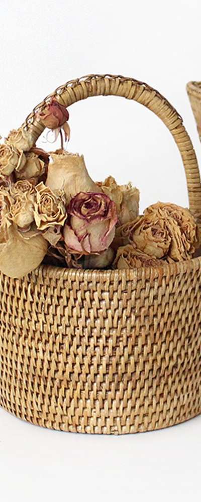 S Size Rattan Hanging Basket Wall Hanger | Wall Hanging Plant Basket Seagrass Planter Cover
