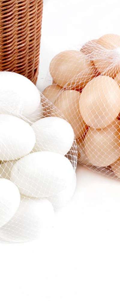 20-Piece Decorative Eggs (Easter Decoration Fake Eggs for Crafts Drawing Art Play Miniature Props)