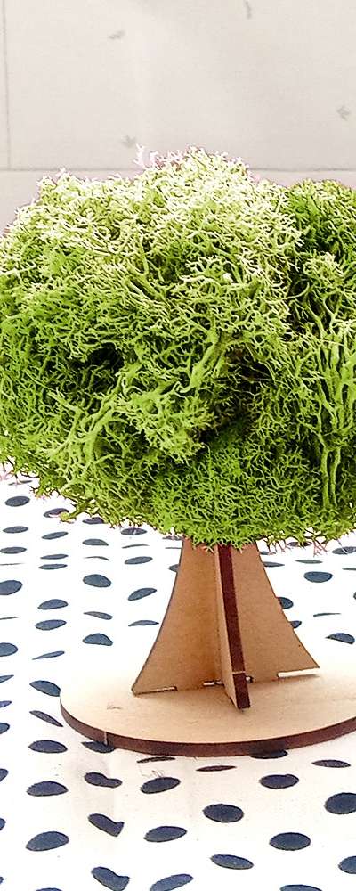 Light Green Moss Tree 3D DIY Kit | Natural Moss Summer