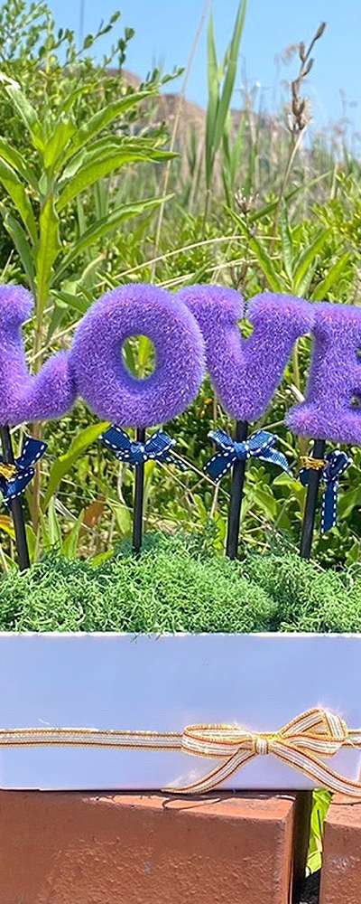 LOVE Purple Green Moss Potted Plant | Air-Purifying Plant