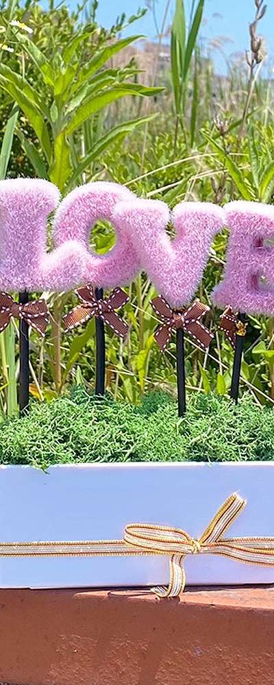 LOVE Pink Green Moss Planter | Air-Purifying Plant
