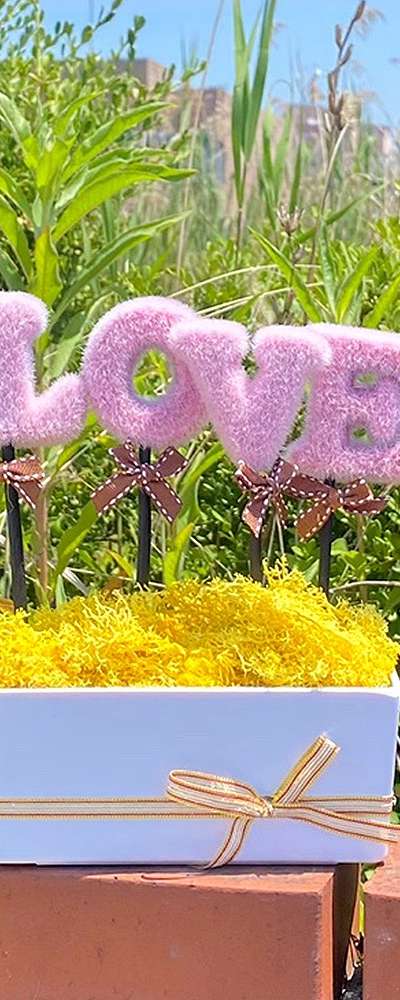 LOVE Pink Yellow Moss Planter | Air Purifying