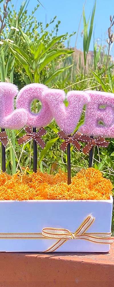 LOVE Pink Orange Moss Potted Plant | Reindeer Moss