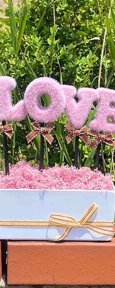 LOVE Pink Pink Moss Planter | Air-Purifying Plant