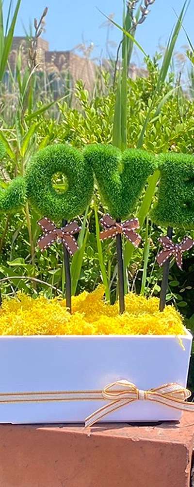 LOVE Green Yellow Moss Potted Plant | Reindeer Moss