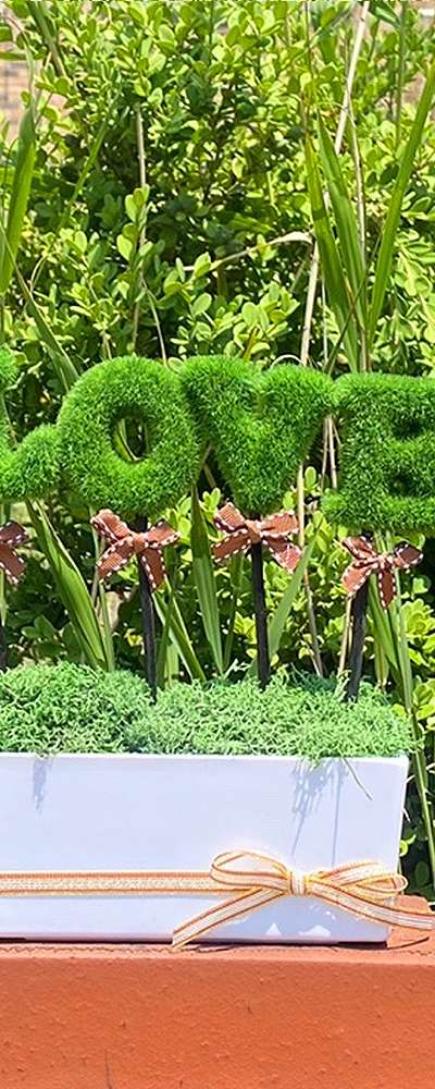 LOVE Green Green Moss Planter | Natural Moss