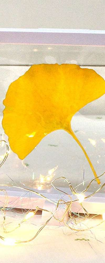L Transparent Pressed Flower Frame | DIY Craft Mini Acrylic Frame