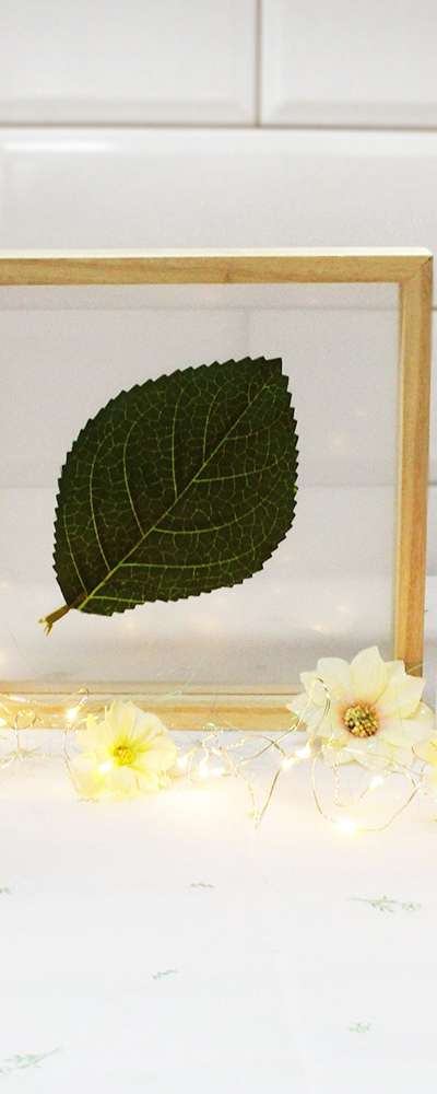 Pressed Flower Frame Wood Frame DIY Acrylic