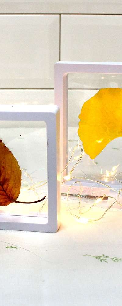 Transparent Pressed Flower Frame | DIY Craft Mini Acrylic Frame
