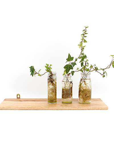 60cm Solid Wood Straight Wall Shelf | Natural Wood Linear Wall Shelf Interior