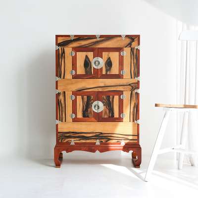 Premium Mulberry and Persimmon Wood Tongyeong Chest 2-Door Traditional High-End Antique Furniture