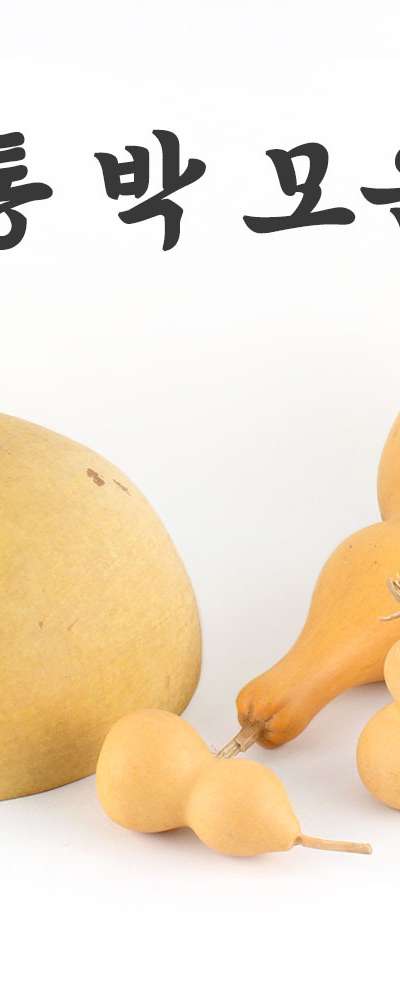 Traditional Gourd Collection II | Decorative Gourds Small Large Bottle Gourd Ladle Gourd for Housewarming New Year Wedding Good Fortune