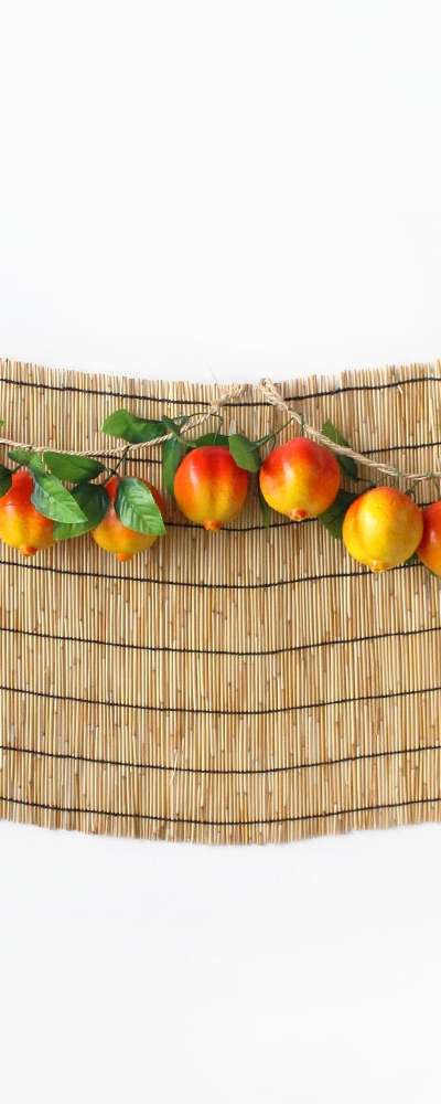 Traditional Holiday Photo Zone Background Pomegranate Set (Chuseok Event Decoration Autumn DIY Pet Birthday Photo Zone)