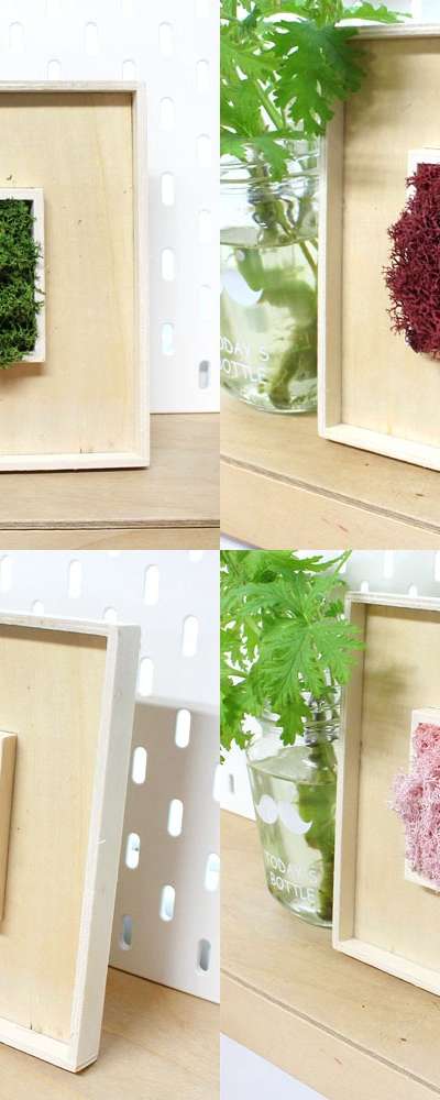 Moss Moss Framed Art (3D Frame Grass Terrarium Humidity Removal Air Purification Plant Natural Moss DIY Art Play)