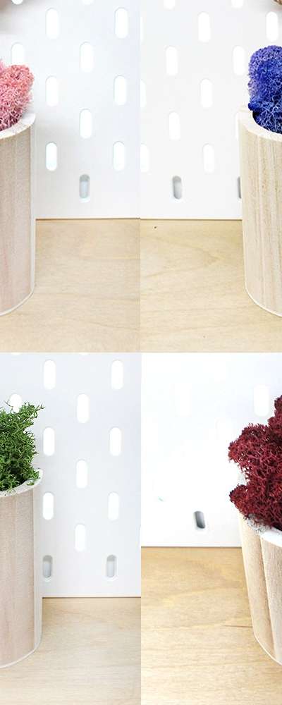 Natural Moss Terarium DIY Set - Round Wooden Pot