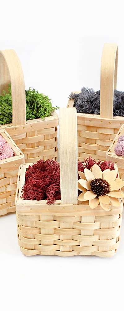 Moss Planter Rectangular Wood Basket (Photo Zone Terrarium Moisture Control Air Purification Natural Moss DIY)