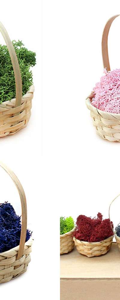 Moss Terrarium Bamboo Mini Basket (Grass Terrarium Moisture Remover Air Purifying Plant Natural Moss DIY)