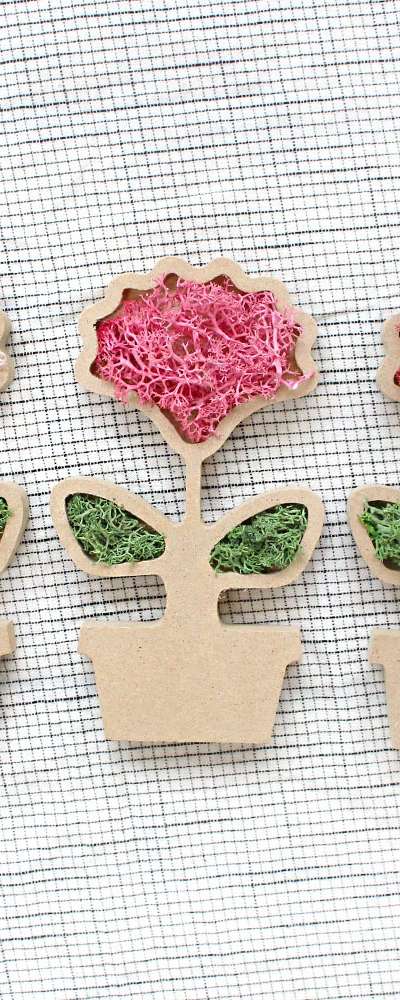 Carnation Moss Craft DIY Kit Set (Mother's Day, Teacher's Day, Family Month DIY Planter Moss Kit)