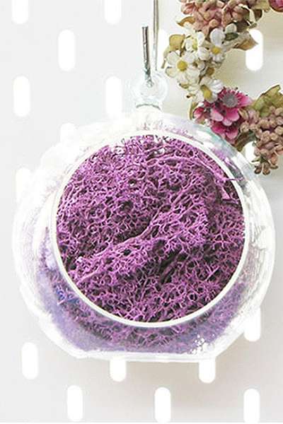 12cm Lilac Moss Hanging Ball Planter | Natural Moss Wall Decoration