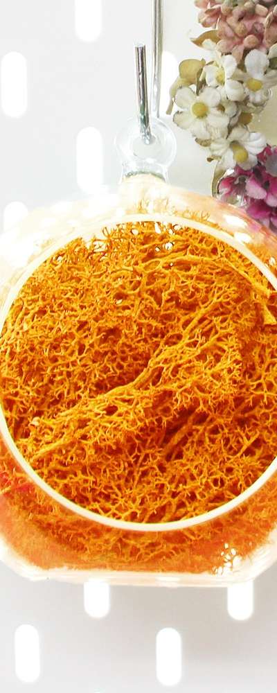 12cm Orange Moss Hanging Ball | Natural Moss Wall & Ceiling Decoration
