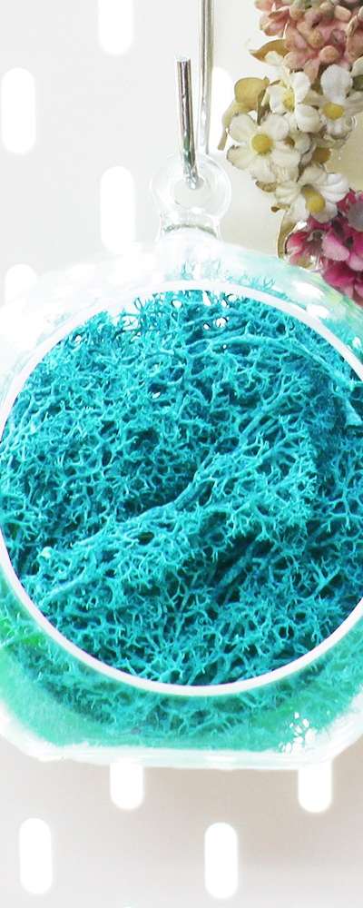 12cm Aqua Moss Hanging Ball | Natural Moss Wall and Ceiling Decoration