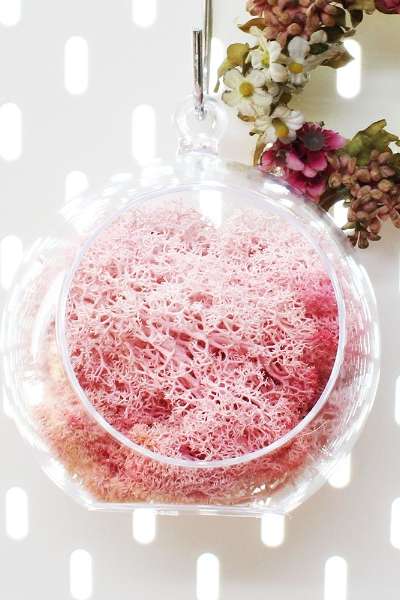 12cm Pink Moss Hanging Ball Planter | Natural Moss Ceiling Decoration