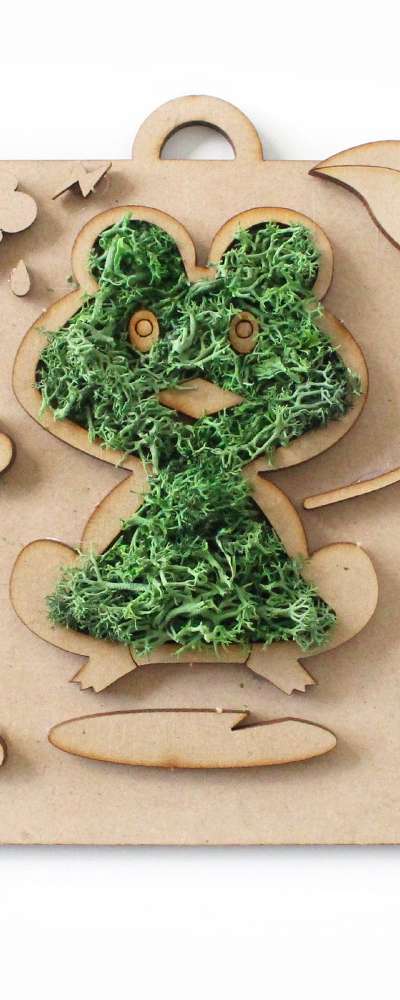 Frog Moss Frame DIY Kit | Natural Moss Air Purifying