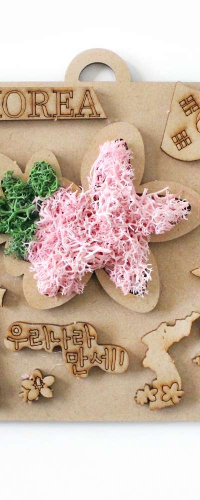 Korea Moss Frame DIY Kit | Natural Moss Air Purification