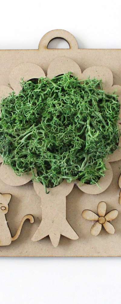 DIY Wood Moss Moss Frame | Air-Purifying Plant Natural Moss