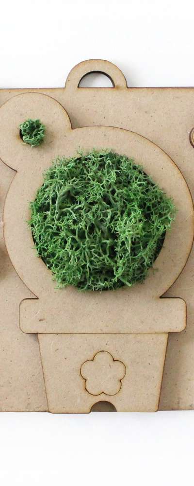 Cactus & Moss Wall Frame DIY Kit | Air-Purifying Plant