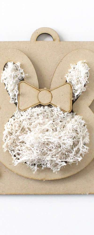Rabbit Moss Frame DIY Kit | Air-Purifying Moss