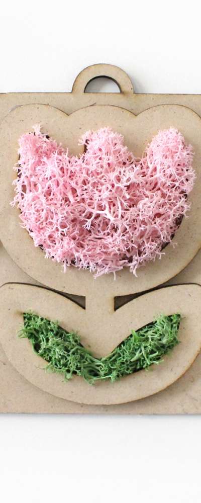 Tulip Moss Terrarium Frame DIY Kit