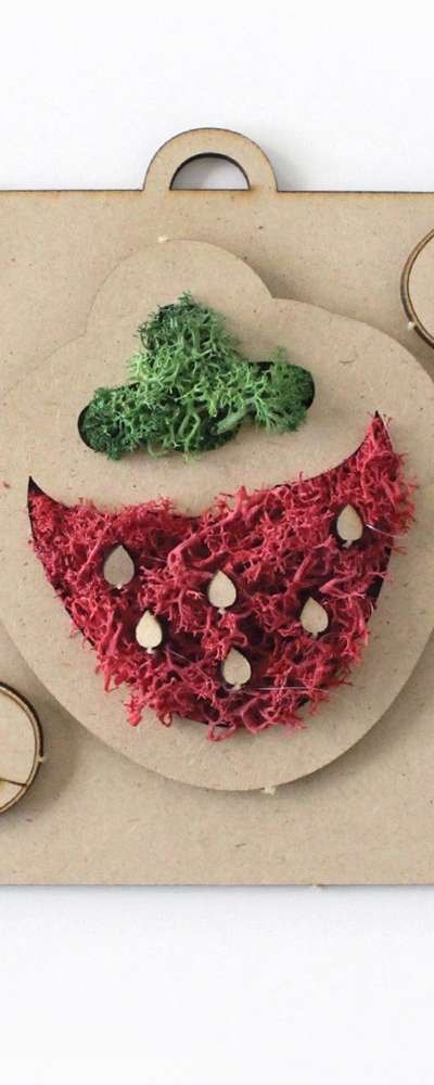 Strawberry Moss Frame DIY Kit | Air-Purifying Moss