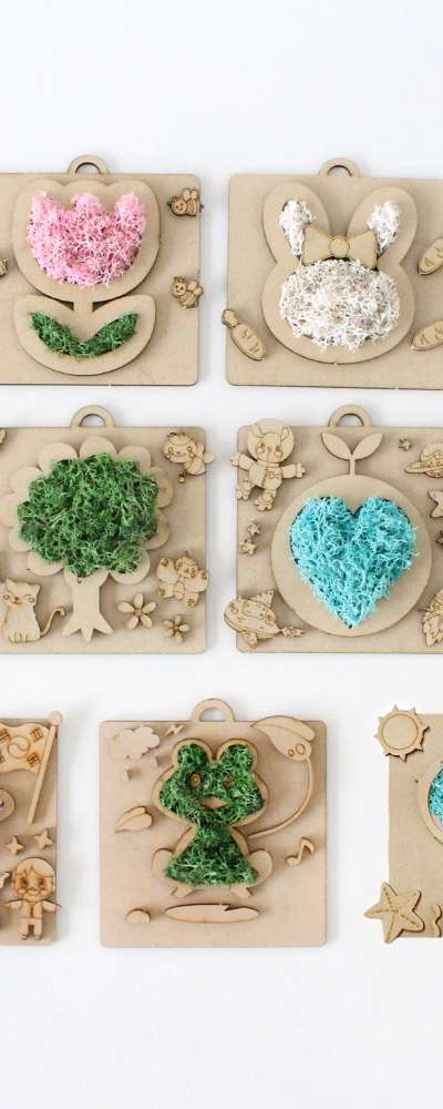 Moss Framed Art DIY Kit | Air-Purifying Natural Moss