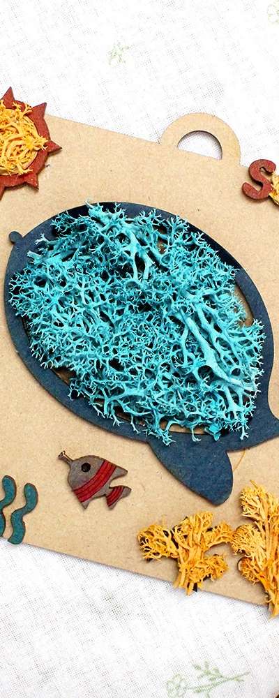 Aqua Whale Moss Terrarium Frame DIY Kit | Moss
