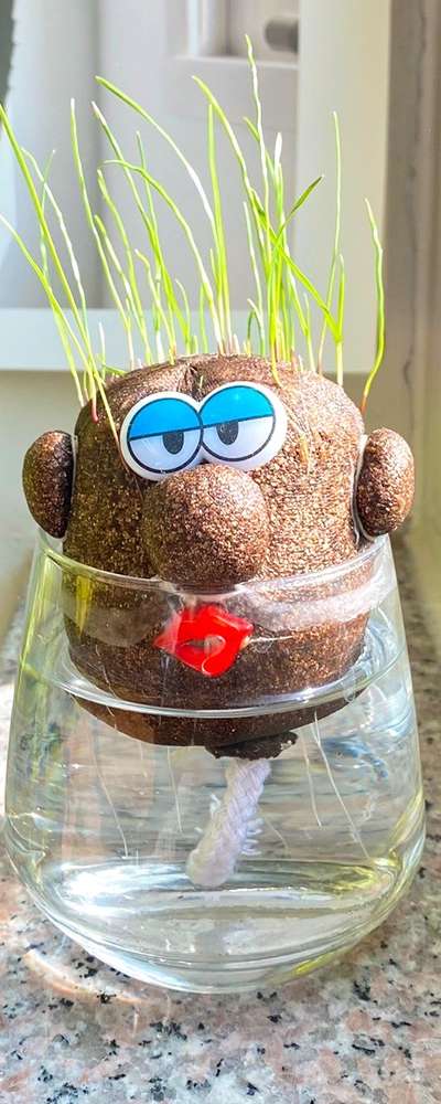 Grass Figure Growing Kit | Topiary Making Plant DIY