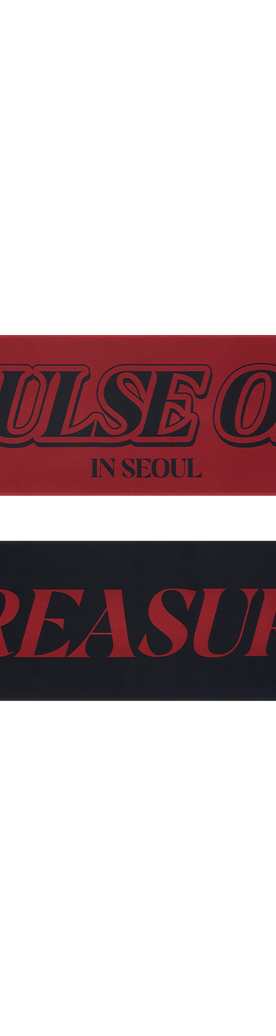 [パルスオンソウル] TREASURE TOUR スローガンタオル