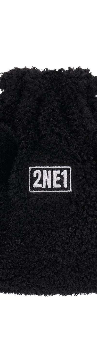 [WELCOMEBACKENCORE] 2NE1 WING POUCH
