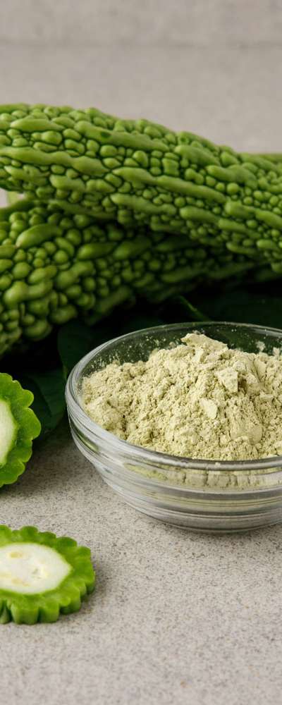 国産 [ 有機栽培ゴーヤ粉末 100g ] 体に良い粉末パウダー
