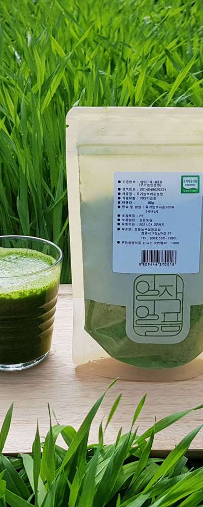 スプラウト大麦 [ オーガニック大麦若葉粉末 80g ] 国内産大麦粉 栄養シェイク