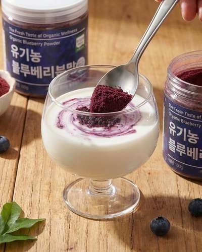 サリジェ オーガニックブルーベリーパウダー 100g 国産 低温乾燥 離乳食 ベーキング ヨーグルト 天然粉末