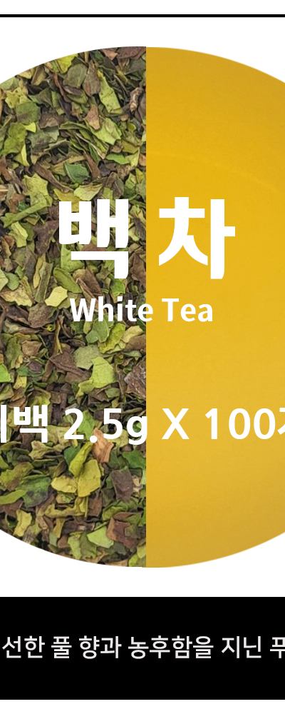 White Tea Tea Bags 100 Count
