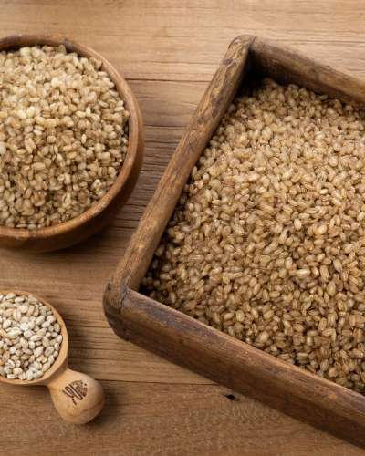 Organic Steamed Hulled Barley Rice 2 Types (Whole Grain and Pressed Flakes) - Soft Barley Rice and Barley Porridge - Domestic Hulled Barley