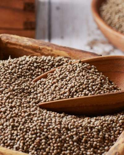 Ssareijae Korean Domestic Raw Perilla Seeds [Cleaned and Dried Whole Perilla Seeds 450g] Unroasted Dried Whole Seeds
