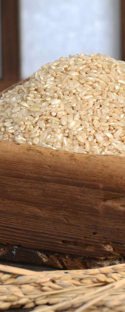 25-Year Direct Farm Supply Delicious Brown Rice [Organic Brown Rice 4kg] Regular Brown Rice