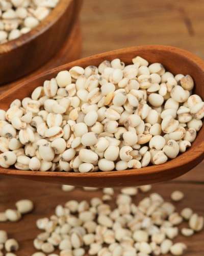 Sarrijae Mixed Grains [Domestic Job's Tears 500g] Whole Job's Tears Rice Mixed Grain Rice