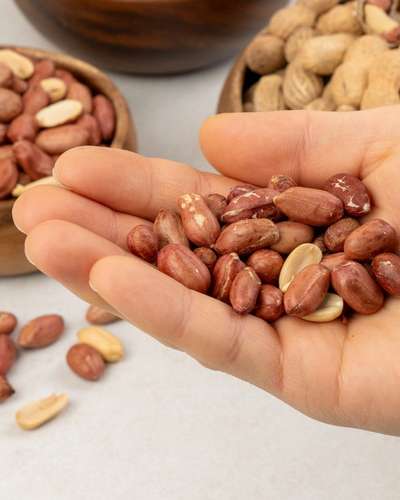 2025 Korean Roasted Peanuts 300g - Gochang Peanuts Fresh Harvest Roasted Peanuts with Skin