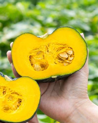 In Stock 7/2 2026 Harvest Organic Mini Kabocha Squash (Unsorted) 4kg, Bowujjang Chestnut Pumpkin Healthy Snack
