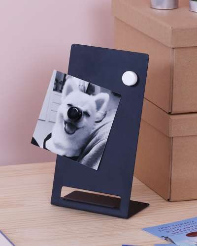 Color Magnetic Magnets