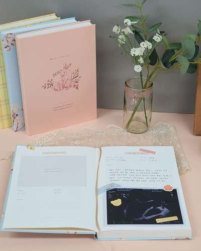 O-CHECK Hello Little One Prenatal Diary (Expecting Mom Parenting Journal Ultrasound)